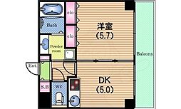 ラミューズコート 1階/-