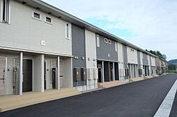 キキョウK.T／ツバキK.T　キキョウK.T