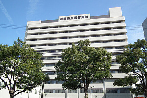 画像19:兵庫県立西宮病院