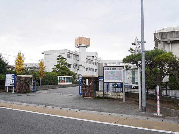 画像18:昭栄中学校まで725m