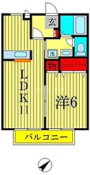 シャンスC棟 1LDKの間取図画像