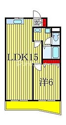 マンションシャミネ北柏 1LDKの間取図画像