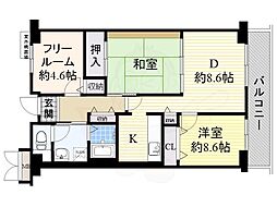 ラ・シーム・フルール石津 2階/-