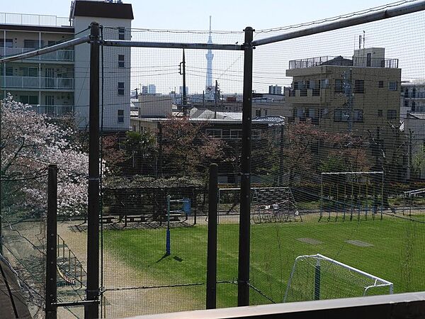 画像14:眺望は東京スカイツリーと小学校の桜