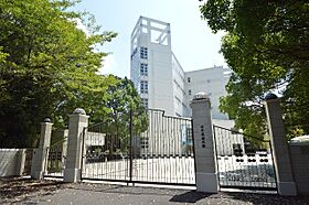 ロッシェル相模大野I  ｜ 神奈川県相模原市南区相模大野7丁目（賃貸アパート1K・2階・16.89㎡） その30