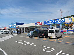 ホームセンターコーナン 高槻上牧店（316m）