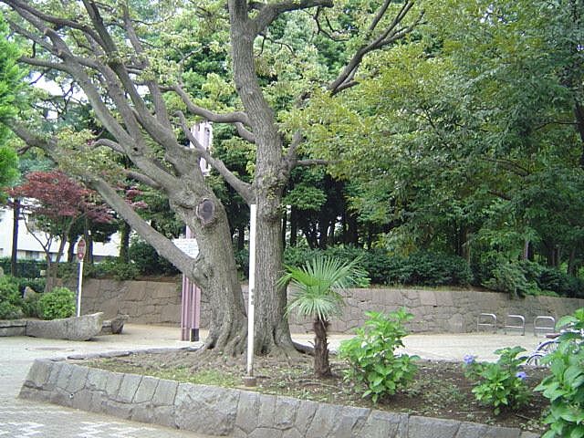 周辺