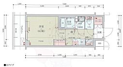 ベラジオレガシー葛野大路八条 6階/-