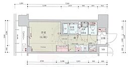 ベラジオレガシー葛野大路八条 8階/-