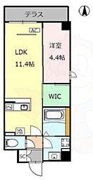 THE RESIDENCE 二条駅前 5階/-