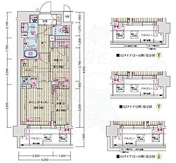 ソルテラス京都西院 悠洛 3階/-
