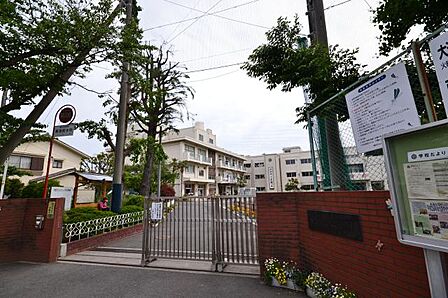 大道小学校 350m