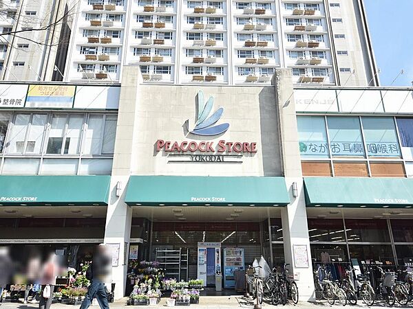 周辺を拡大表示
