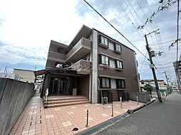 ホワイトハイツ