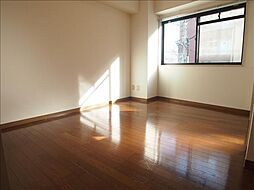 モンターニュ国領 305