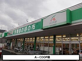 アレグリア 202 ｜ 奈良県天理市櫟本町877-1、877-2未定（賃貸アパート1LDK・2階・47.04㎡） その16