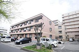 12 / 21
