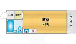 コットンライフMBS 3階/-