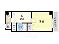 ビジタル丸山通37階5.5万円
