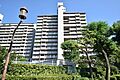 エバーグリーンポートタウン11号棟