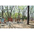 緑町中央公園