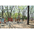 緑町中央公園