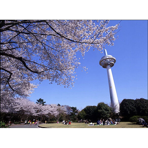 周辺を拡大表示