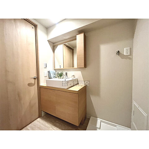洗面 パークヒルズ若葉スカイハイツ 2階/-