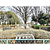 周辺：青葉台公園