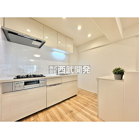 キッチン 保谷パークハウスB棟 4階/-