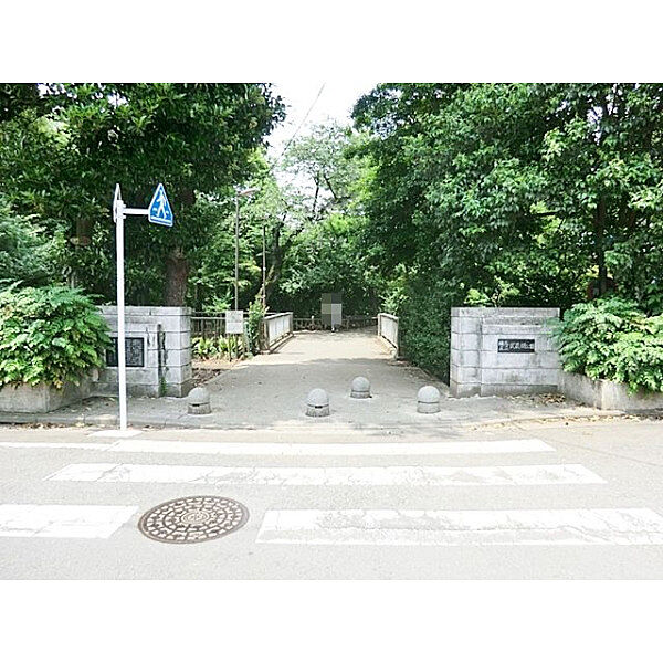周辺を拡大表示