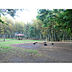 周辺：たけのこ公園
