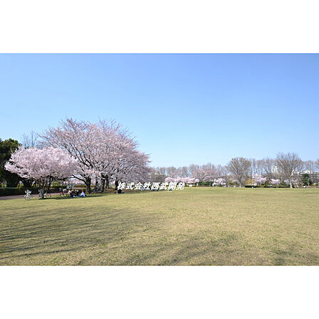 東村山中央公園