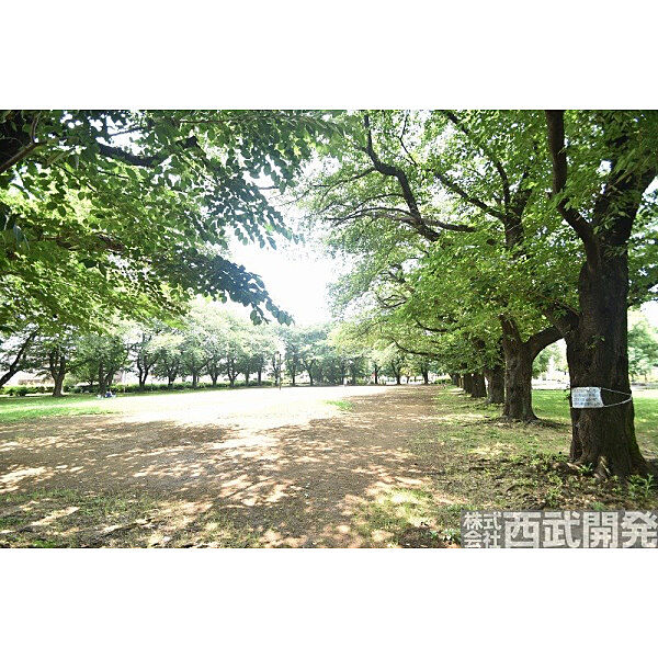 周辺を拡大表示