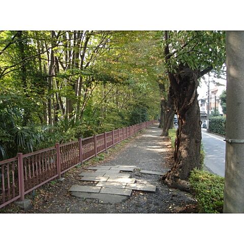 周辺 ガーデンハイツ小平 2階/-