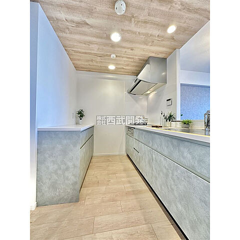 キッチン ルネ花小金井 7階/-