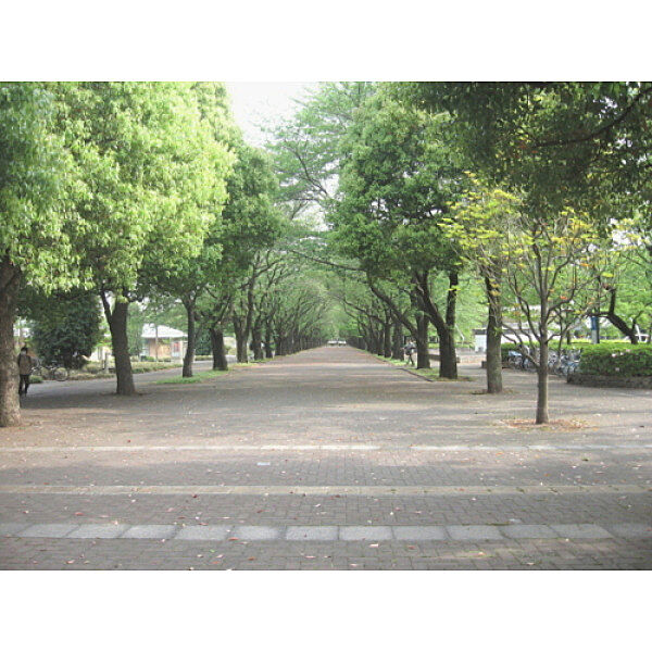 周辺を拡大表示