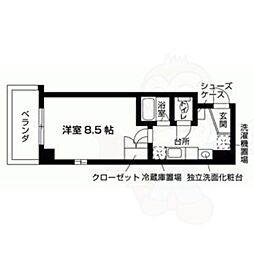 Avenir朱雀 5階/-