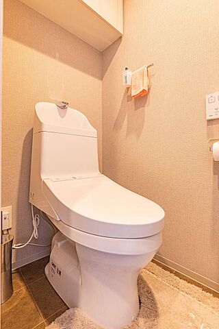 トイレ リビオレゾン新虎通り 10階/-