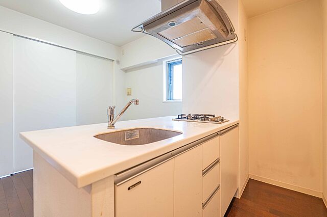 キッチン ＬＥ-ＬＩＯＮ　ＩＫＥＢＵＫＵＲＯ　ＣＯＭＦＯＲＴ 14階/-