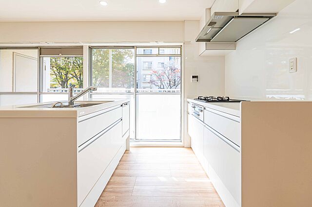 キッチン 多摩川住宅　ハの14号棟 1階/-