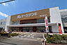 周辺：ケーズデンキ埼大通り店（160m）