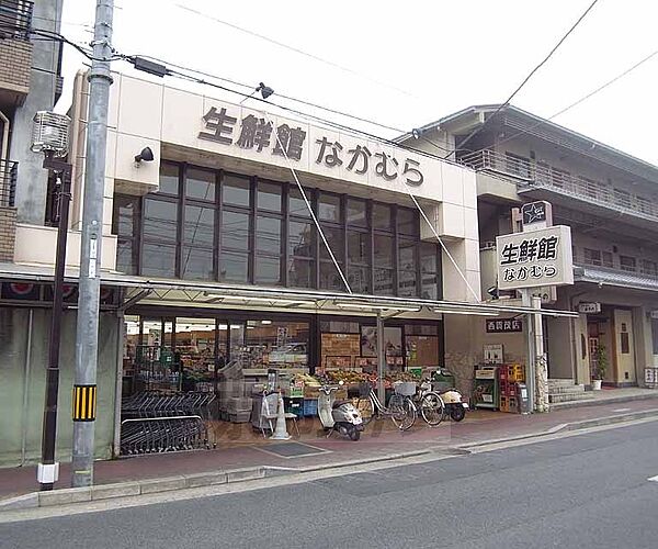 画像13:生鮮館なかむら 西賀茂店まで30m 新鮮な食材勢揃い。