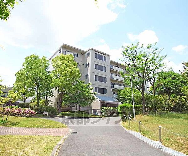 東大路高野第1住宅 2502｜京都府京都市左京区高野西開町(賃貸マンション3LDK・5階・63.00㎡)の写真 その5