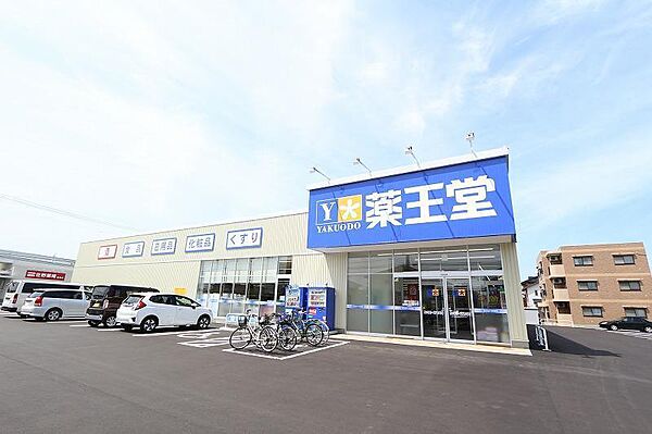 画像17:薬王堂秋田東通店(500m)