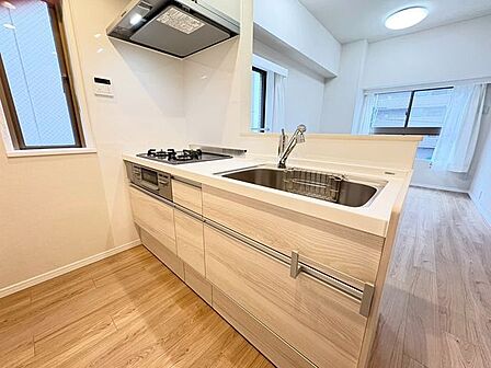新規交換済みのシステムキッチン