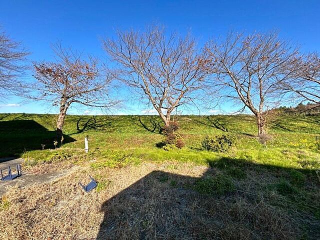 その他 遠田郡涌谷町字裏桜町