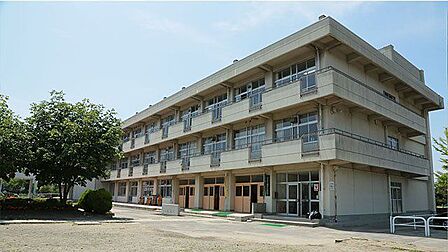 田子小学校 徒歩5分(354m)