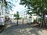 周辺：小学校「区立中村小学校まで560m」
