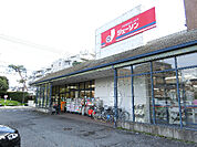 ジェーソン 成城店（226m）